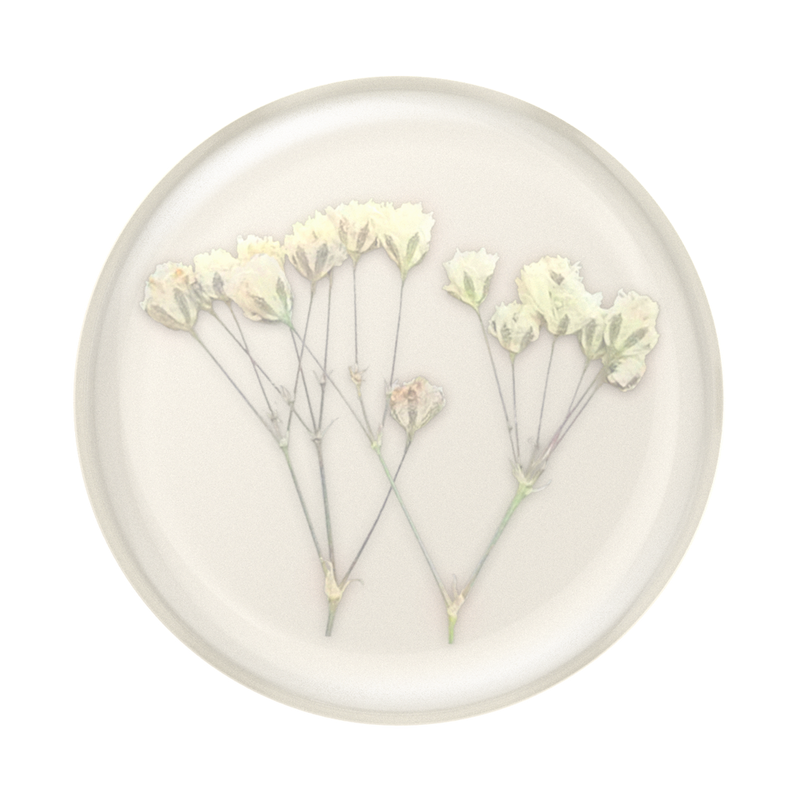 Pressed Flower Baby's Breath image number 0